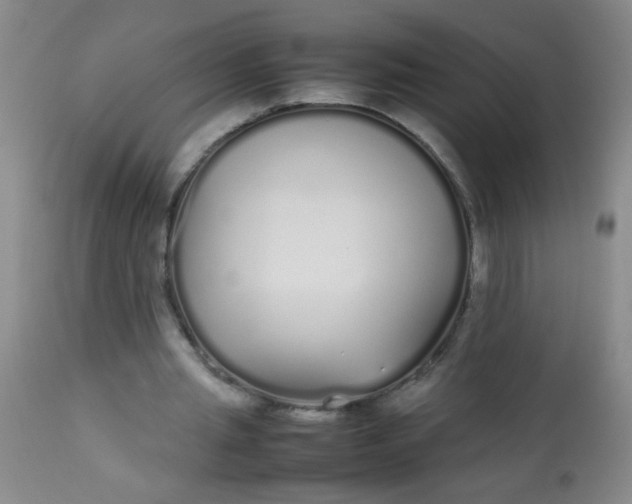 X0000113620437200910091535