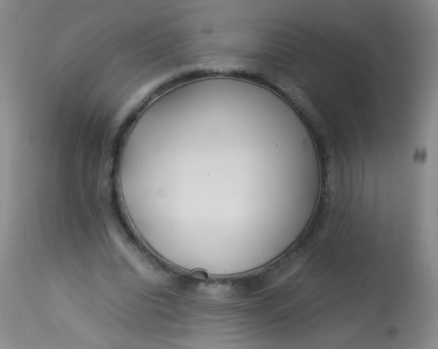 X0000113620440200910091535