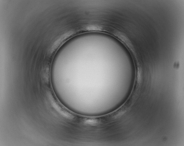 X0000113620441200910091535