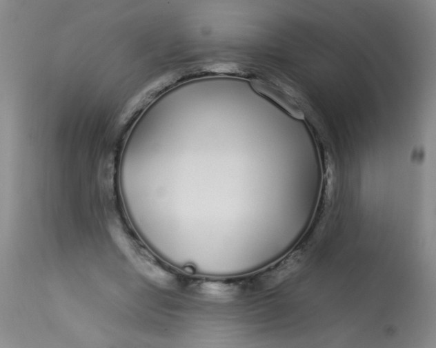 X0000113620442200910091535