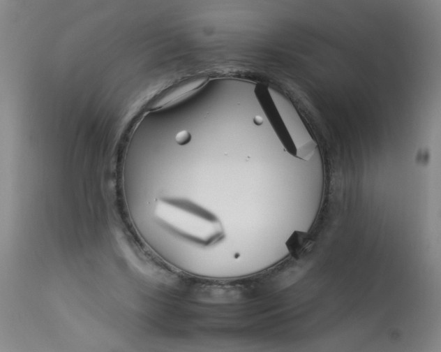 X0000113620443200910091535