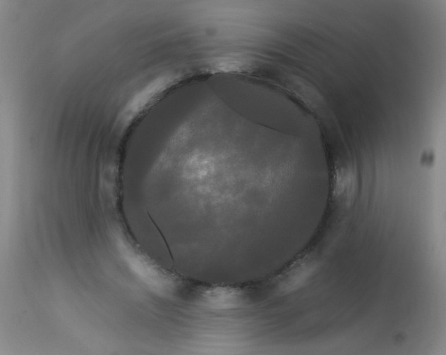 X0000113620444200910091535