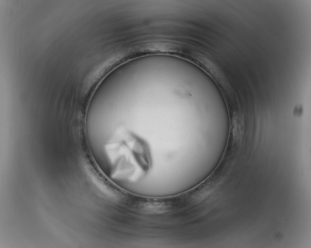 X0000113620445200910091535