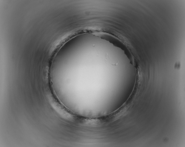 X0000113620446200910091535
