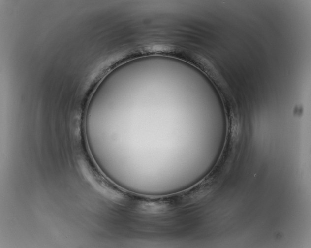 X0000113620447200910091535
