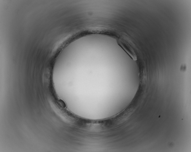 X0000113620448200910091535