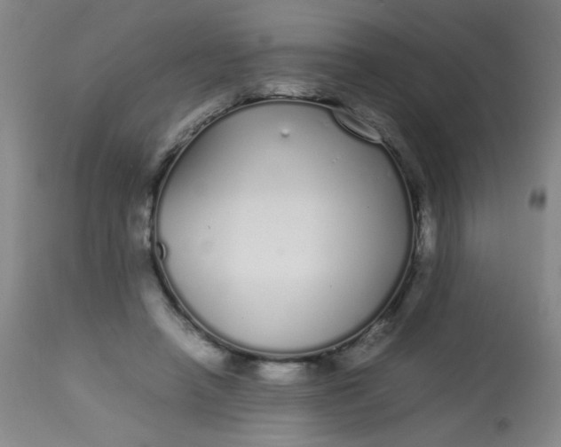 X0000113620450200910091535