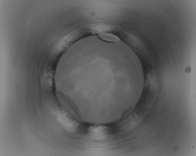 X0000113620452200910091535