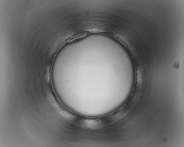 X0000113620453200910091535