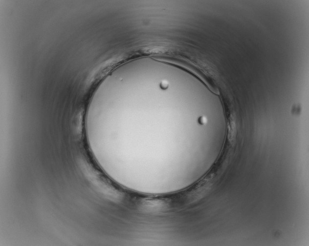 X0000113620454200910091535