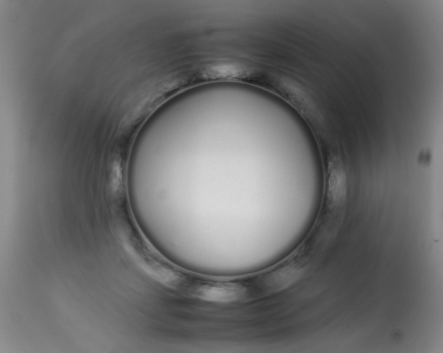 X0000113620459200910091535