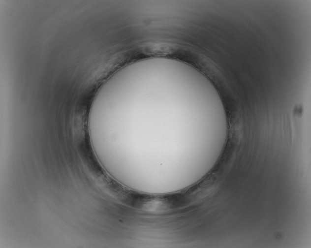 X0000113620460200910091535