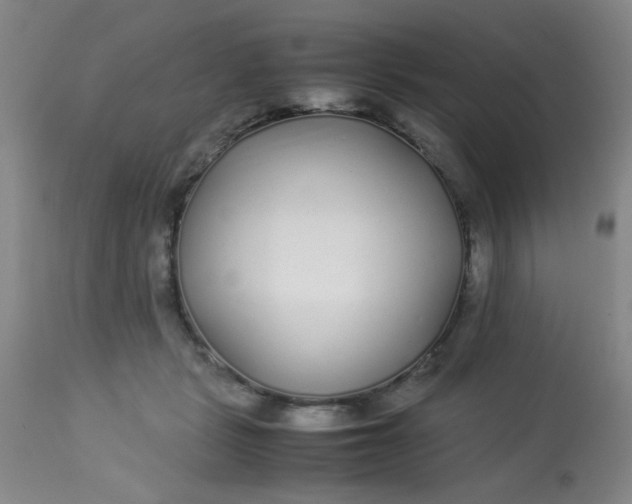 X0000113620461200910091535