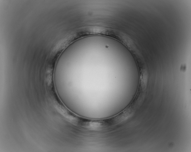 X0000113620462200910091535