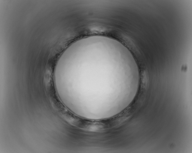 X0000113620463200910091535