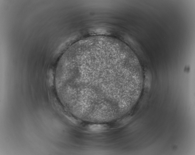X0000113620465200910091535