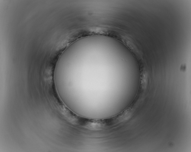 X0000113620466200910091535