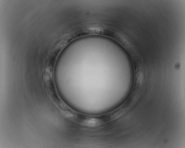 X0000113620467200910091535