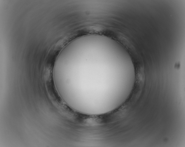 X0000113620468200910091535