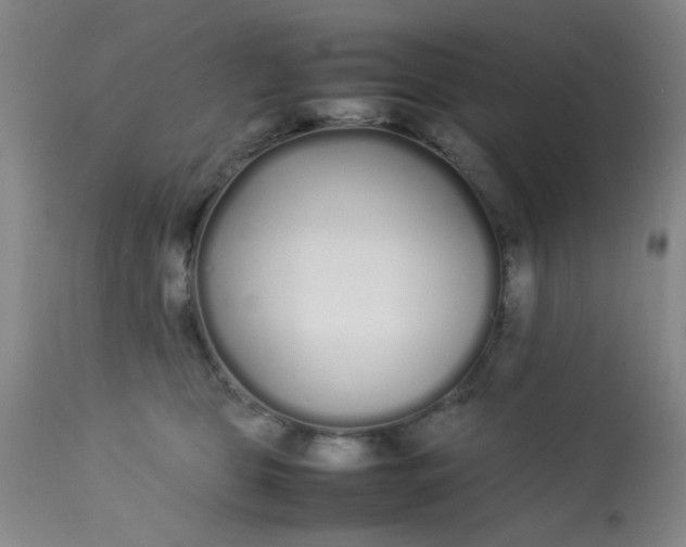 X0000113620469200910091535