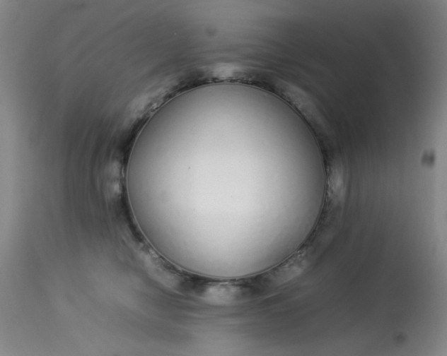 X0000113620470200910091535