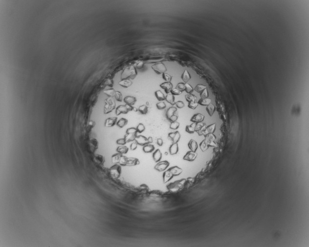 X0000113620473200910091536