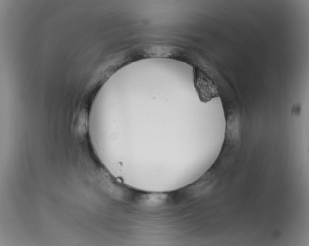 X0000113620474200910091536