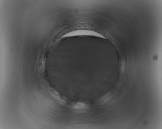X0000113620475200910091536