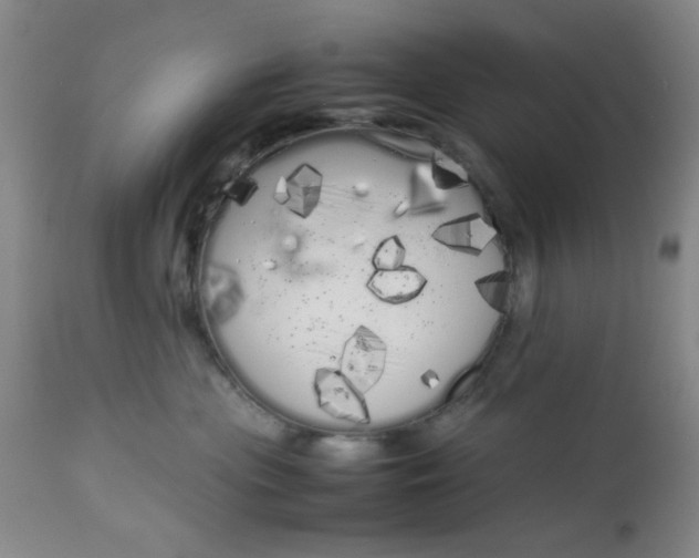 X0000113620477200910091536