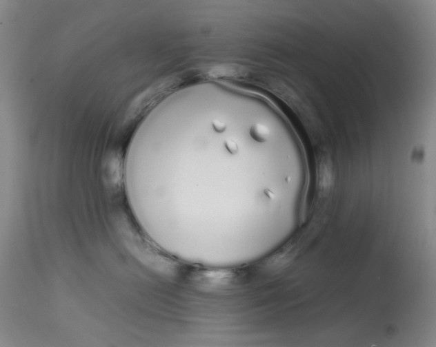 X0000113620478200910091536