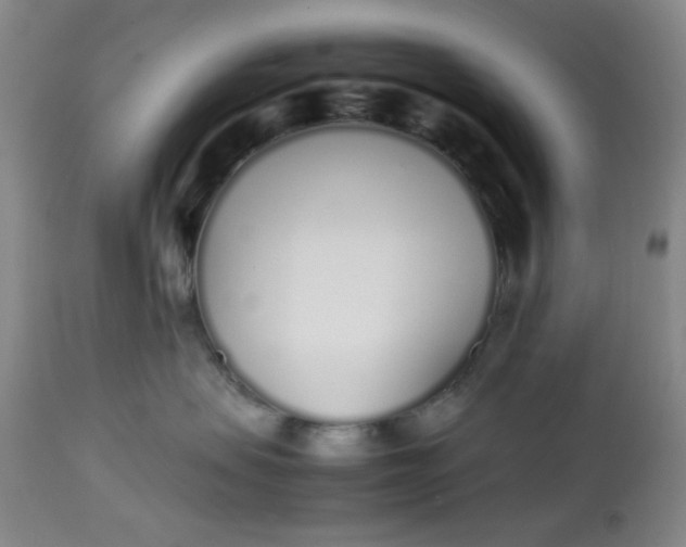 X0000113620479200910091536