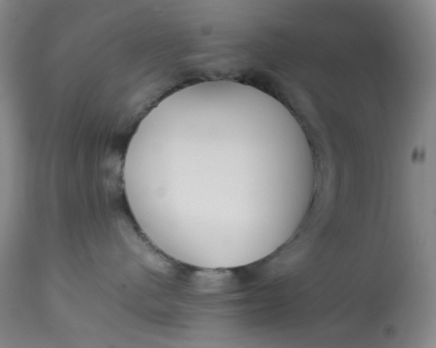 X0000113620480200910091536