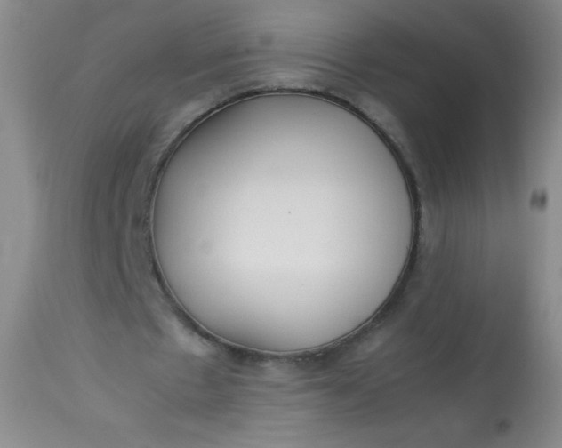 X0000113620481200910091535