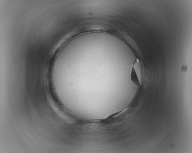 X0000113620482200910091535