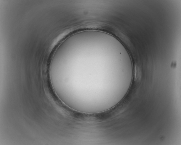 X0000113620483200910091535