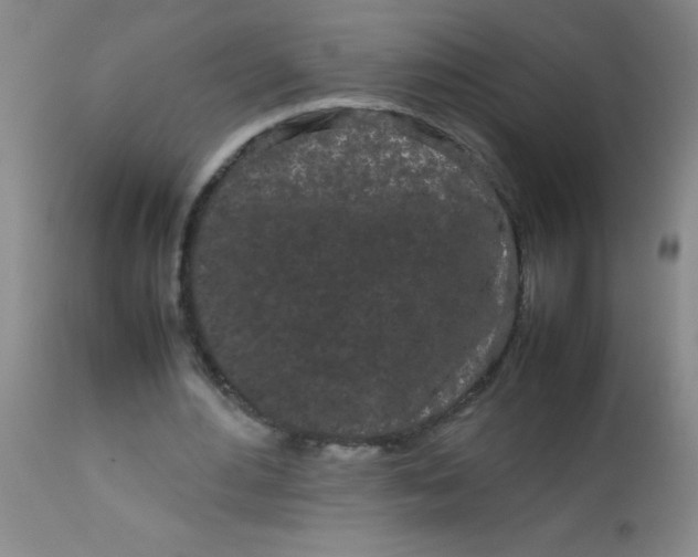 X0000113620484200910091535