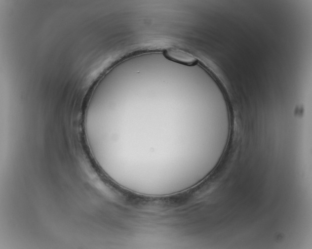 X0000113620485200910091535