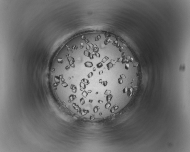 X0000113620486200910091535
