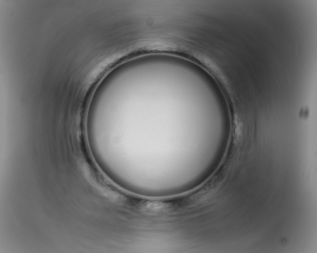 X0000113620487200910091535