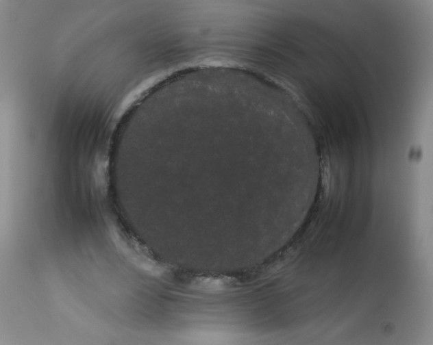 X0000113620488200910091535