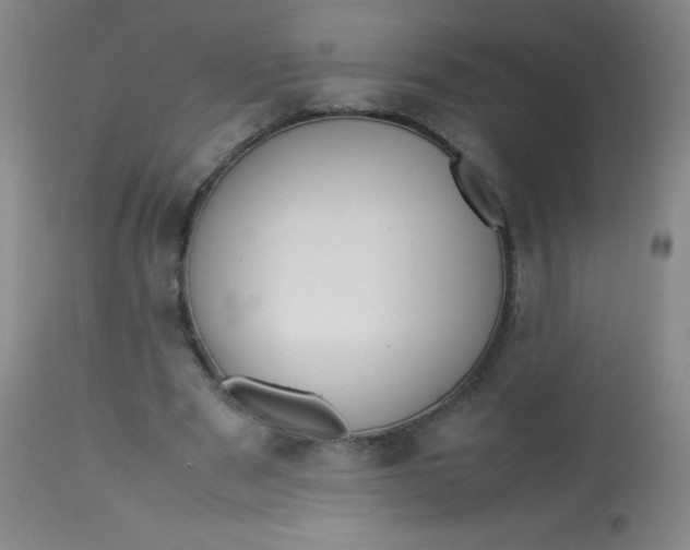 X0000113620489200910091535