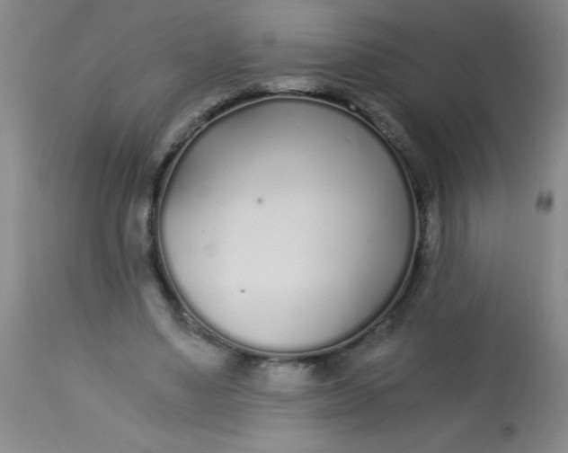 X0000113620491200910091535
