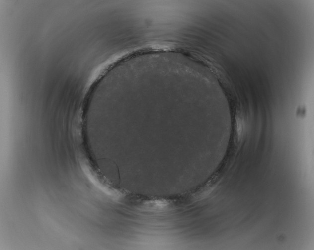 X0000113620492200910091535