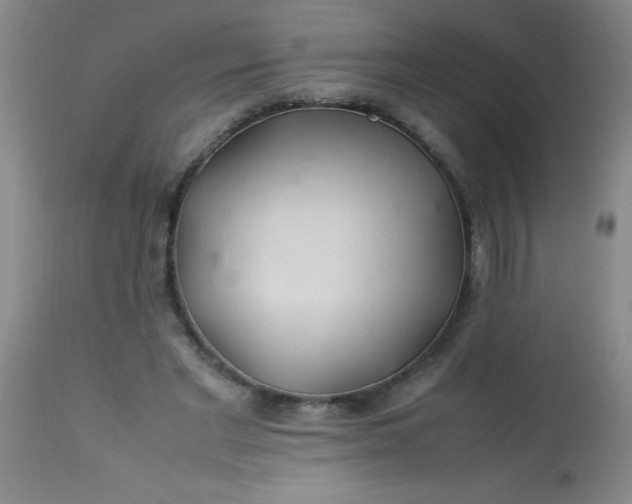 X0000113620493200910091535