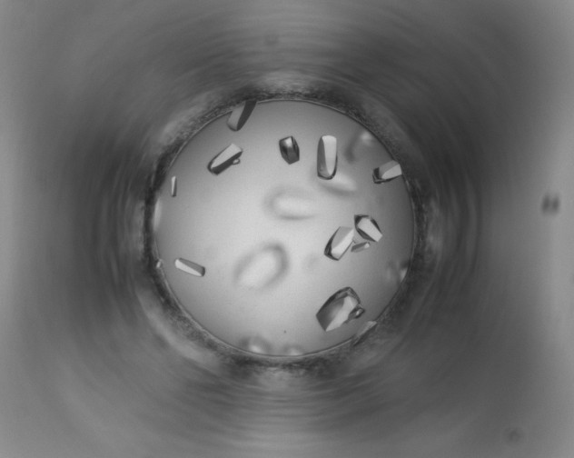 X0000113620494200910091535