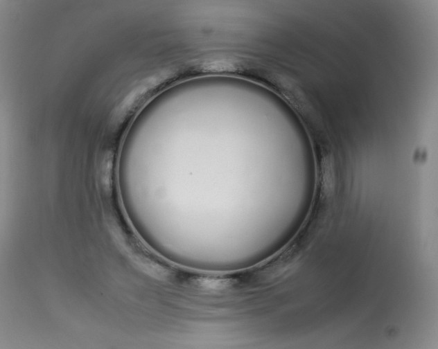 X0000113620495200910091535