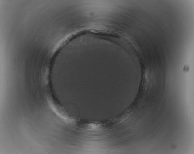 X0000113620496200910091535