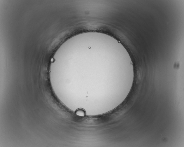 X0000113620497200910091535