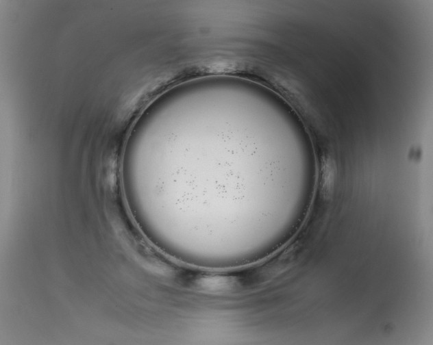 X0000113620499200910091535