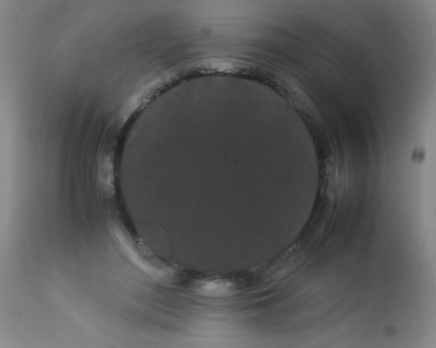 X0000113620500200910091535